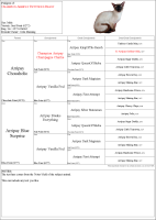 4 Generation Portrait Pedigree with Notes