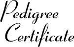 Sample Calligraphic Text