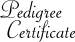 Sample Calligraphic Text