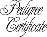 Sample Calligraphic Text