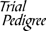 Sample Calligraphic Text