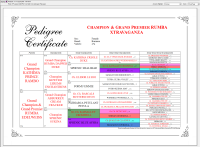 Pedigree with Common Ancestors Highlighted