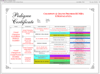 Pedigree with Repeated Ancestors Highlighted