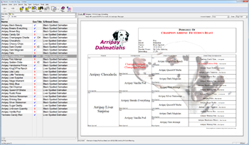 dog software breeding pedigree breeders assistant dogs