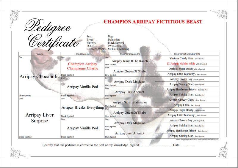 Dog Breed Lineage Chart