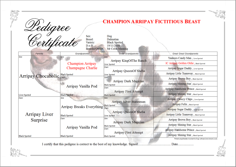 Dog Genealogy Chart