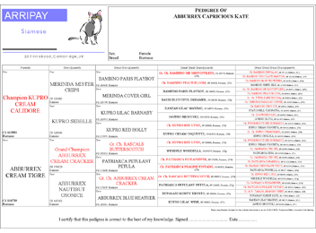 5 Generation Pedigree Chart For Dogs