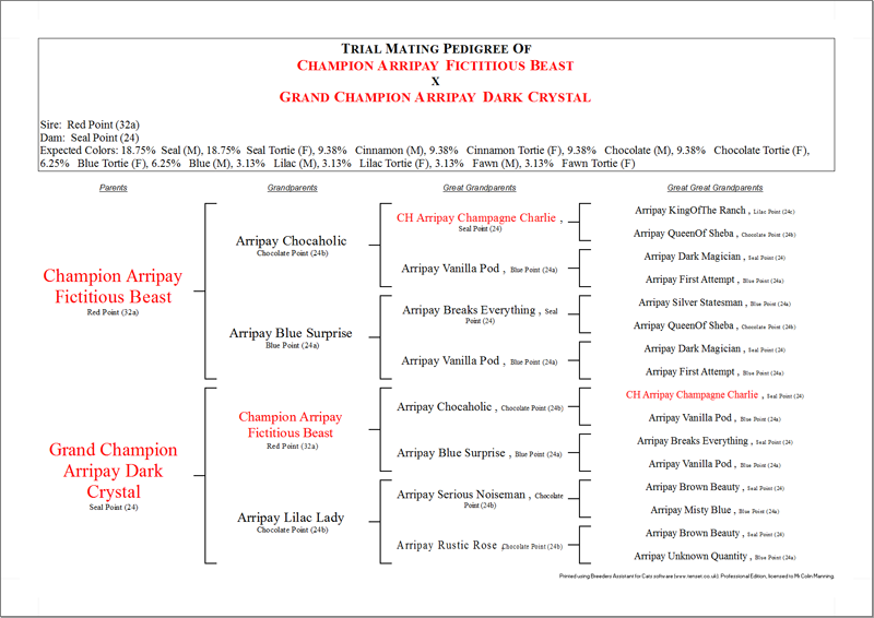 Cat color genetics calculator software - mating predictions - Tenset