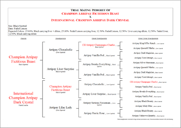 Dog Pedigree Software Uk Dog Pedigree Software Uk