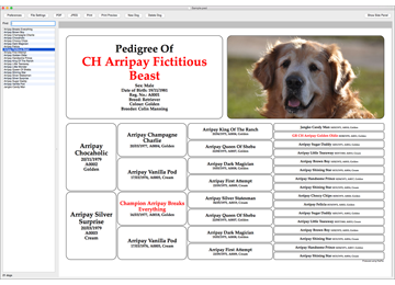free printable dog pedigree chart