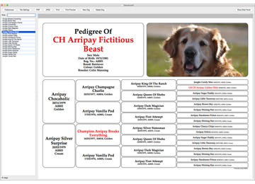 cat and dog pedigree breeding software for windows and mac tenset online pedigree maker